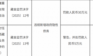 因违规新增政府隐性债务，邮储银行西藏自治区分行被罚30万元