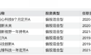 197位基金经理年内离任！嘉实13人出走创纪录：老将洪流、曲盛伟清仓卸任，或因绩差降薪触发离职潮