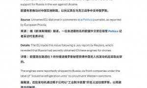 左右俄乌战局，一个意外足矣，中国真正的实力，德国终于领教到了