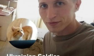 赫尔松的“人类狩猎”！“帮”俄军炸桥，获释俄军带回伙伴小猫